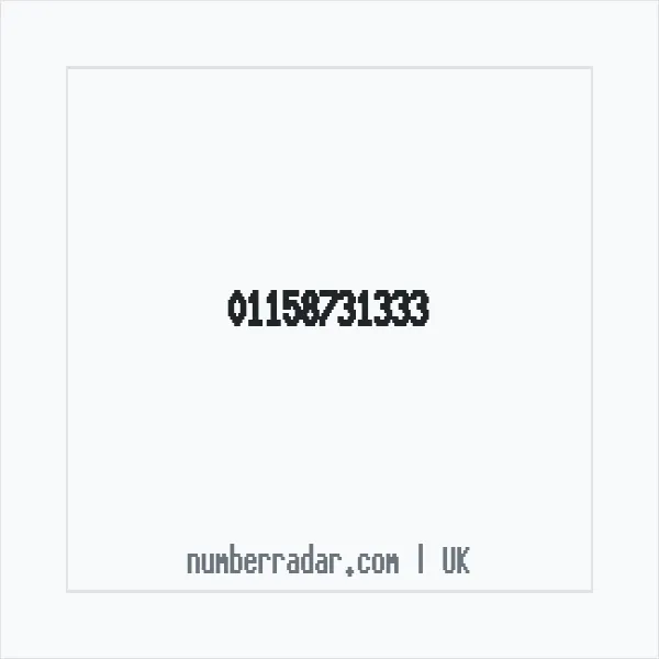 Reverse number check for +44 115 873 1333 — who called me?