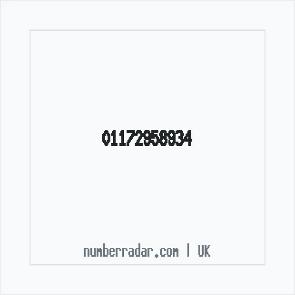 Reverse number check for +44 117 295 8934 — who called me?