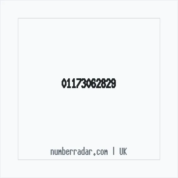 Reverse number check for +44 117 306 2829 — who called me?