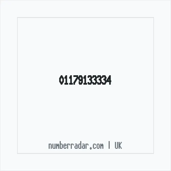Reverse number check for +44 117 913 3334 — who called me?