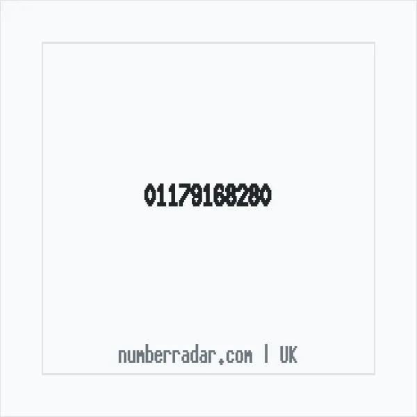 Reverse number check for +44 117 916 8280 — who called me?