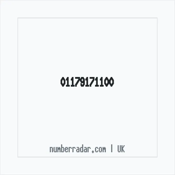 Reverse number check for +44 117 917 1100 — who called me?