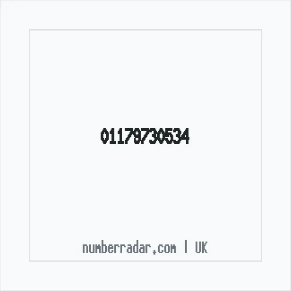 Reverse number check for +44 117 973 0534 — who called me?