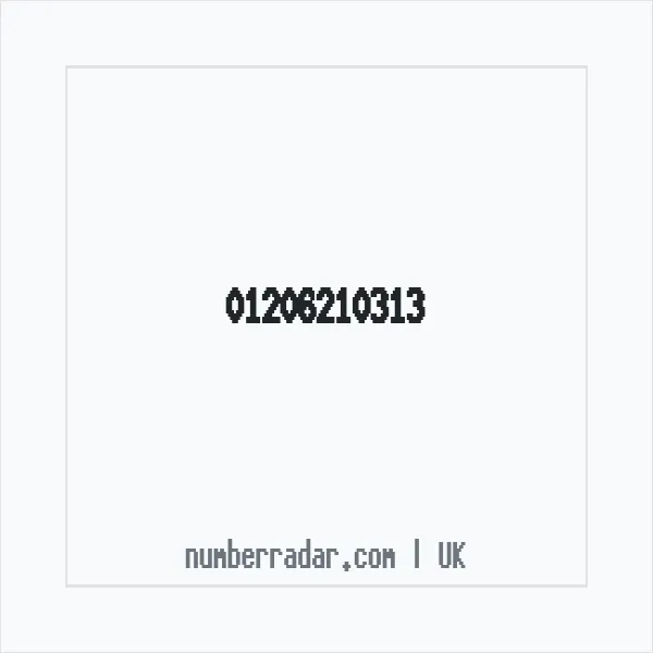 Reverse number check for +44 1206 210313 — who called me?