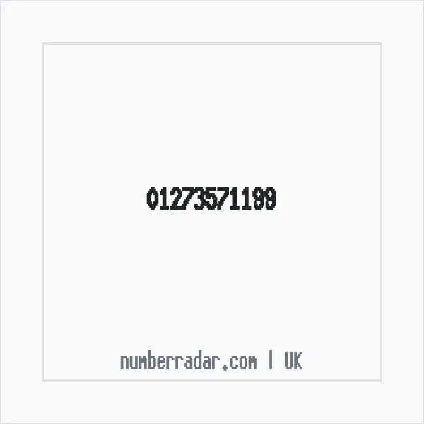 Reverse number check for +44 1273 571199 — who called me?