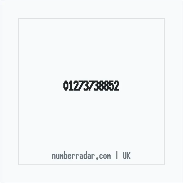 Reverse number check for +44 1273 738852 — who called me?