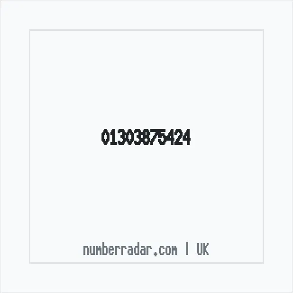 Reverse number check for +44 1303 875424 — who called me?