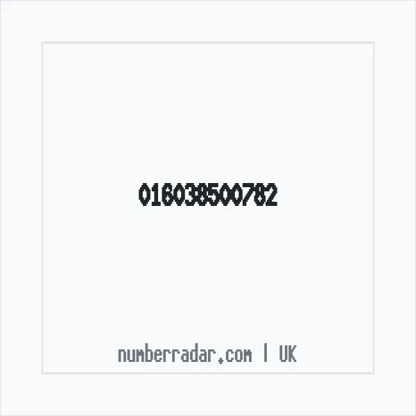 Reverse number check for +44 (1603) 850-078 — who called me?