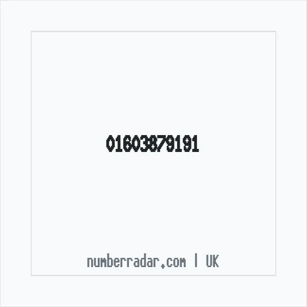 Reverse number check for +44 1603 879191 — who called me?