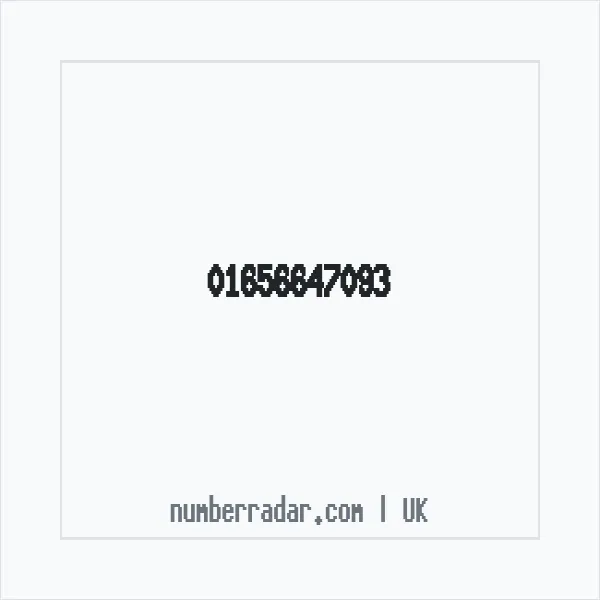 Reverse number check for +44 1656 647093 — who called me?