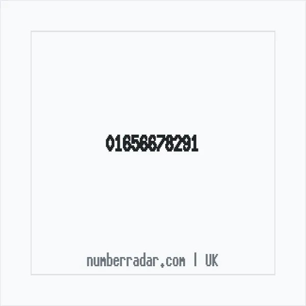 Reverse number check for +44 1656 678291 — who called me?