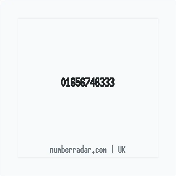 Reverse number check for +44 1656 746333 — who called me?