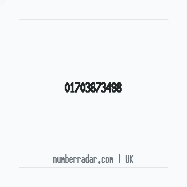 Reverse number check for +44 1703 673498 — who called me?