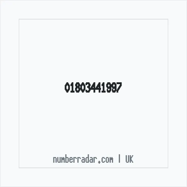 Reverse number check for +44 1803 441997 — who called me?