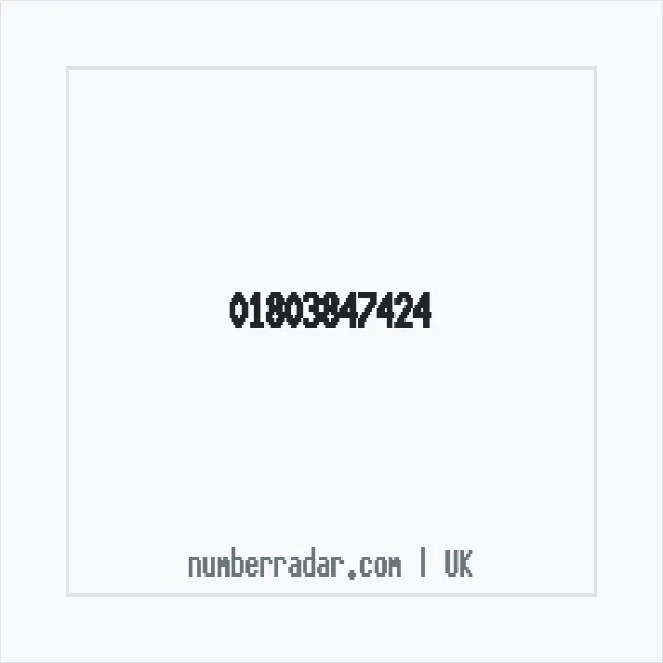 Reverse number check for +44 1803 847424 — who called me?