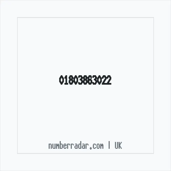 Reverse number check for +44 1803 863022 — who called me?