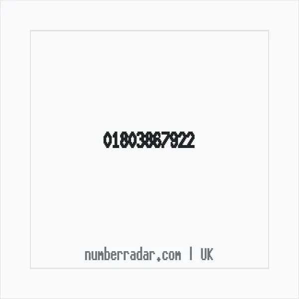 Reverse number check for +44 1803 867922 — who called me?