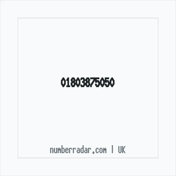 Reverse number check for +44 1803 875050 — who called me?