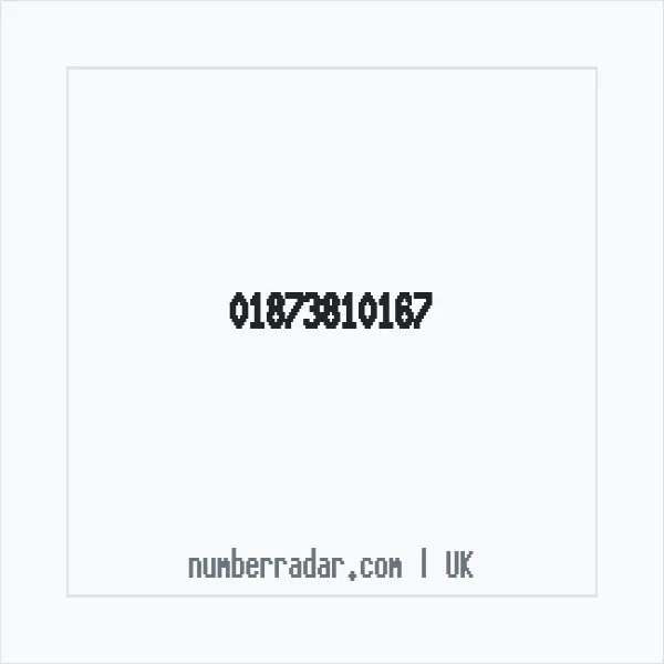 Reverse number check for +44 1873 810167 — who called me?
