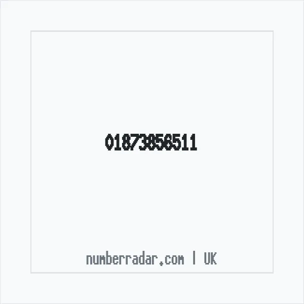 Reverse number check for +44 1873 856511 — who called me?