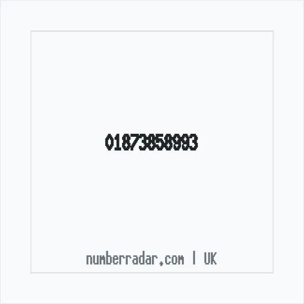Reverse number check for +44 1873 858993 — who called me?