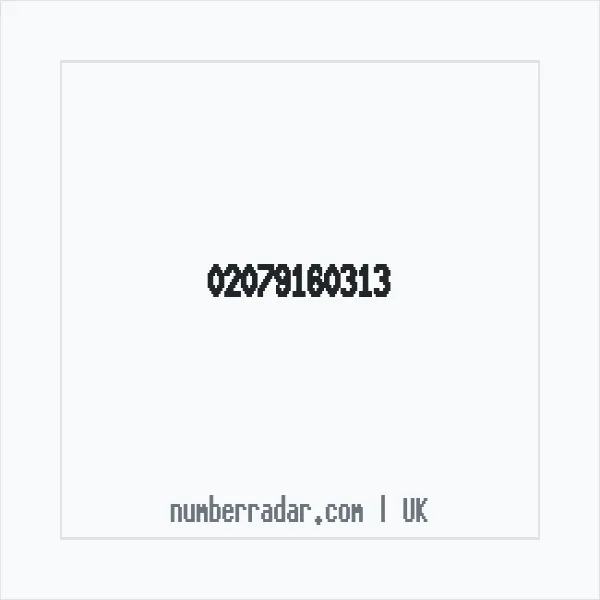 Reverse number check for +44 20 7916 0313 — who called me?