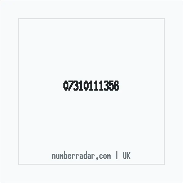 Reverse number check for +44 7310 111356 — who called me?