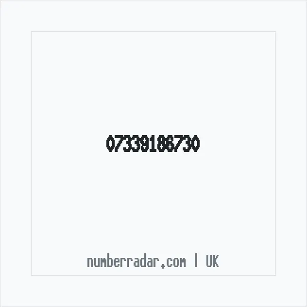 Reverse number check for +44 7339 186730 — who called me?