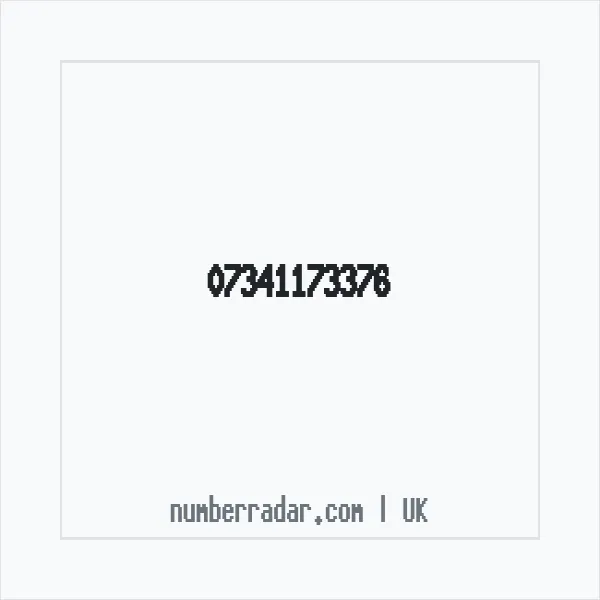 Reverse number check for +44 7341 173376 — who called me?
