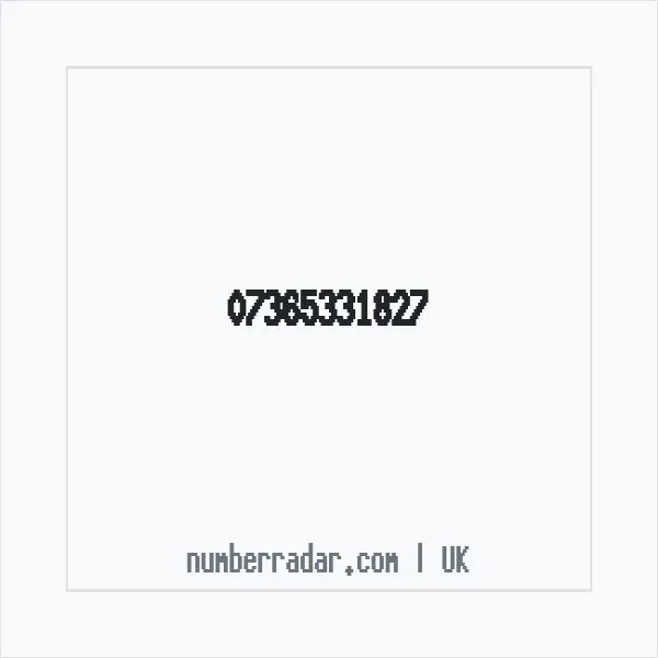 Reverse number check for +44 7365 331827 — who called me?