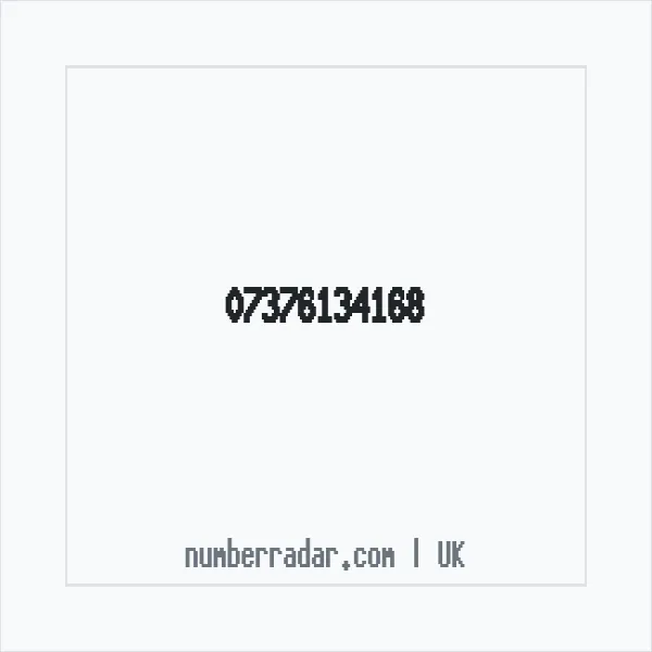 Reverse number check for +44 7376 134168 — who called me?