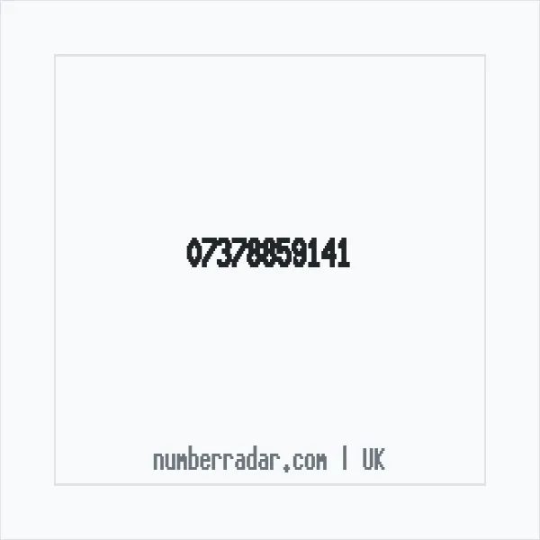 Reverse number check for +44 7378 859141 — who called me?