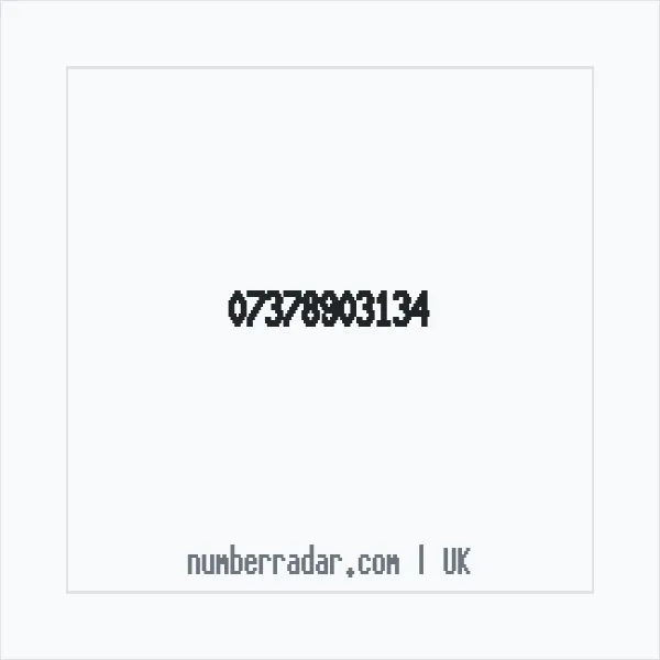Reverse number check for +44 7378 903134 — who called me?
