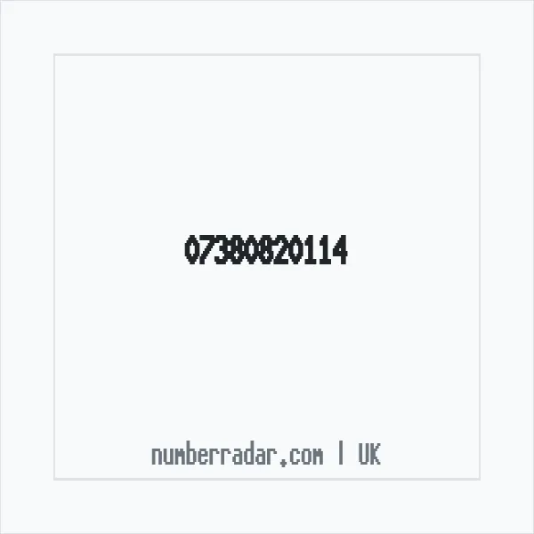 Reverse number check for +44 7380 820114 — who called me?