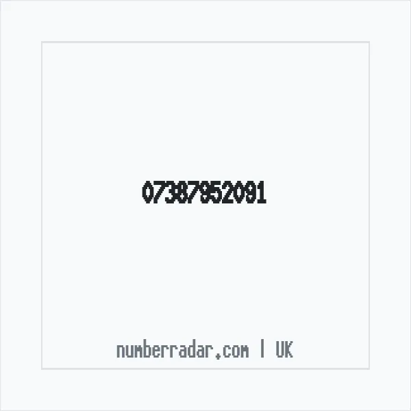 Reverse number check for +44 7387 952091 — who called me?