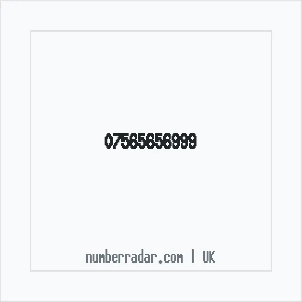 Reverse number check for +44 7565 656999 — who called me?