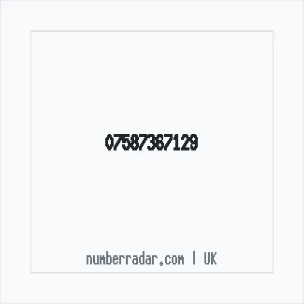 Reverse number check for +44 7587 367129 — who called me?