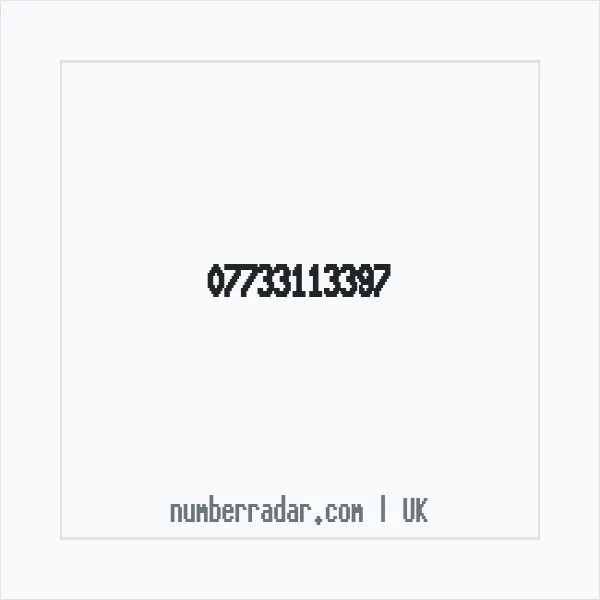 Reverse number check for +44 7733 113397 — who called me?