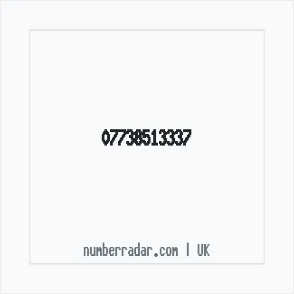 Reverse number check for +44 7738 513337 — who called me?