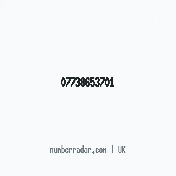 Reverse number check for +44 7738 653701 — who called me?