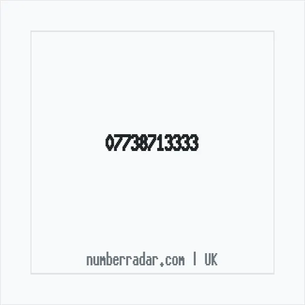 Reverse number check for +44 7738 713333 — who called me?