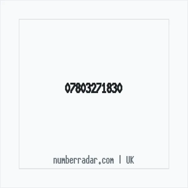 Reverse number check for +44 7803 271830 — who called me?