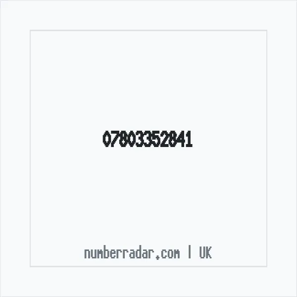 Reverse number check for +44 7803 352841 — who called me?