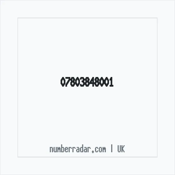 Reverse number check for +44 7803 848001 — who called me?