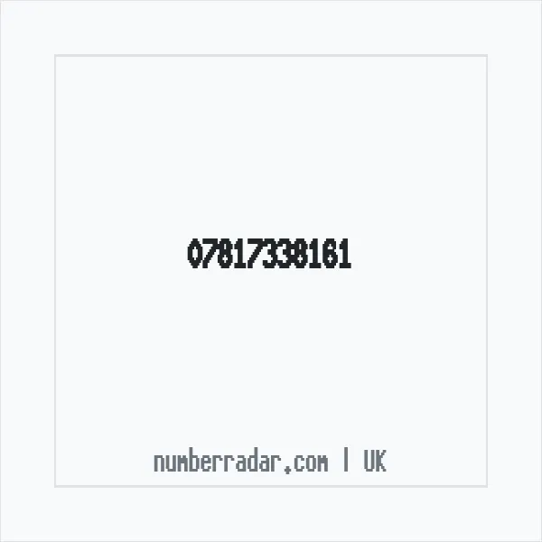Reverse number check for +44 7817 338161 — who called me?
