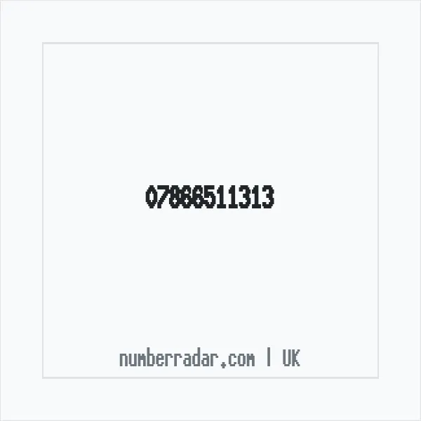 Reverse number check for +44 7866 511313 — who called me?