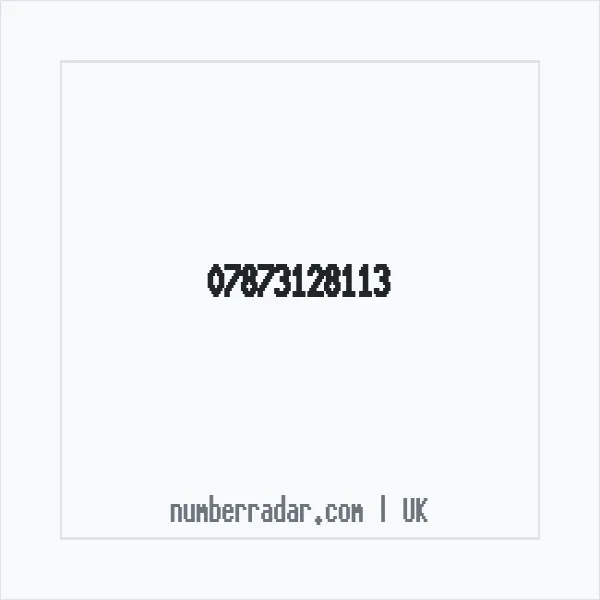 Reverse number check for +44 7873 128113 — who called me?