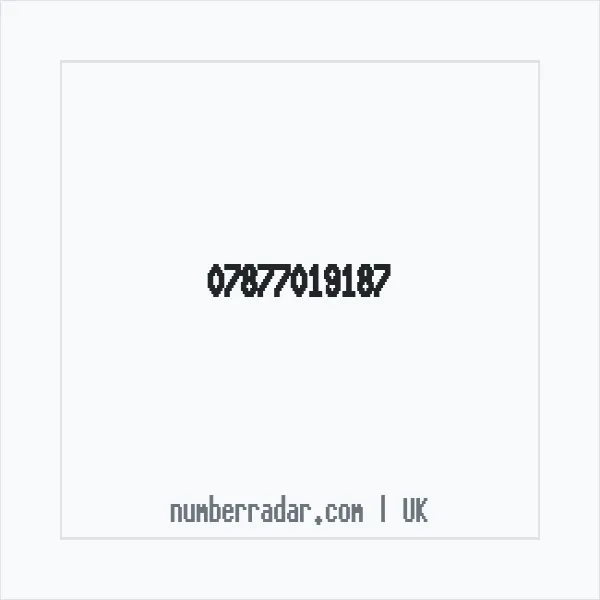 Reverse number check for +44 7877 019187 — who called me?