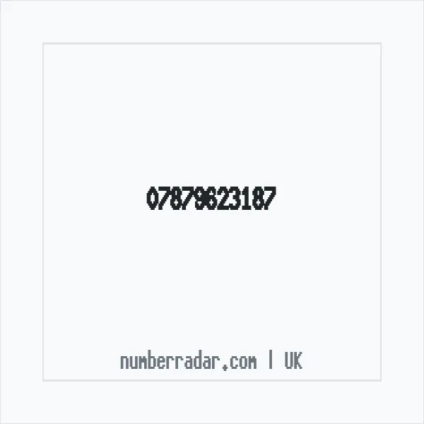 Reverse number check for +44 7879 623187 — who called me?