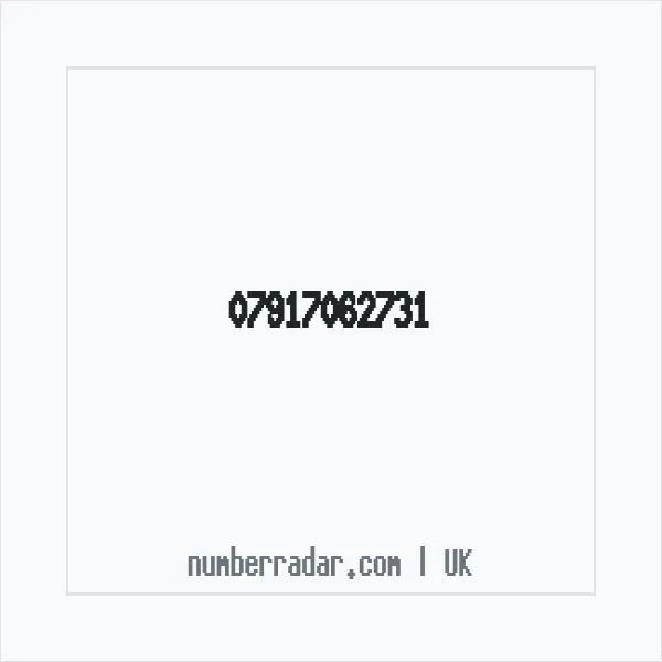 Reverse number check for +44 7917 062731 — who called me?